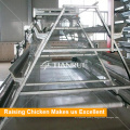 Tianrui New Raising Equipment A Type Automatic Broiler Cage System